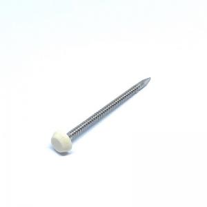 China A2 Stainless Steel Shatterproof Plastic Head Nails For Fascia And Soffit on sale