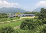 Easy Using Ground Mount Solar Panel Racking Systems 4200mm
