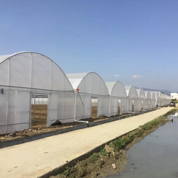 Clear Sawtooth Roof Multi Span Greenhouse Plastic Sheeting ISO9001 2008