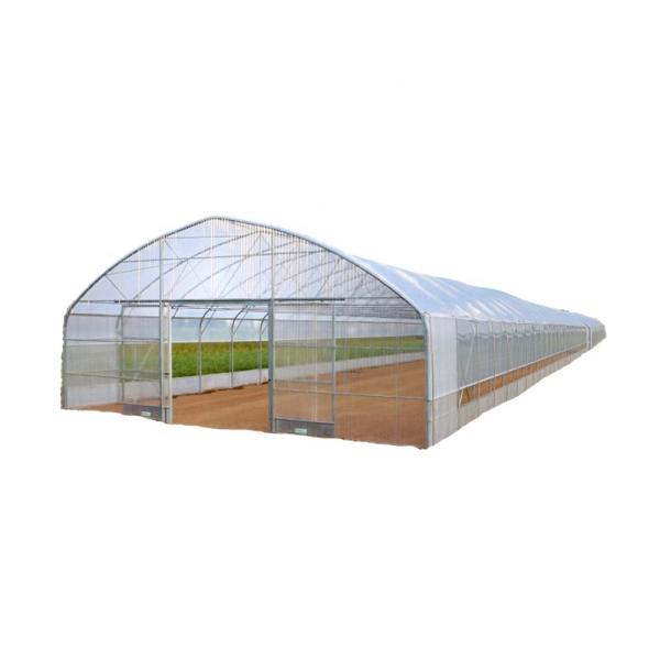 Commercial Aquaponic Aquarium System Prefabricated PO Greenhouses for Vegetables