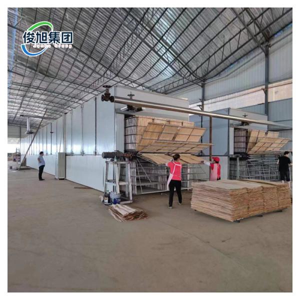 Industrial Veneer Dryer Hydraulic Hot Press Plywood Drying Machine for 20 Cubic Meters