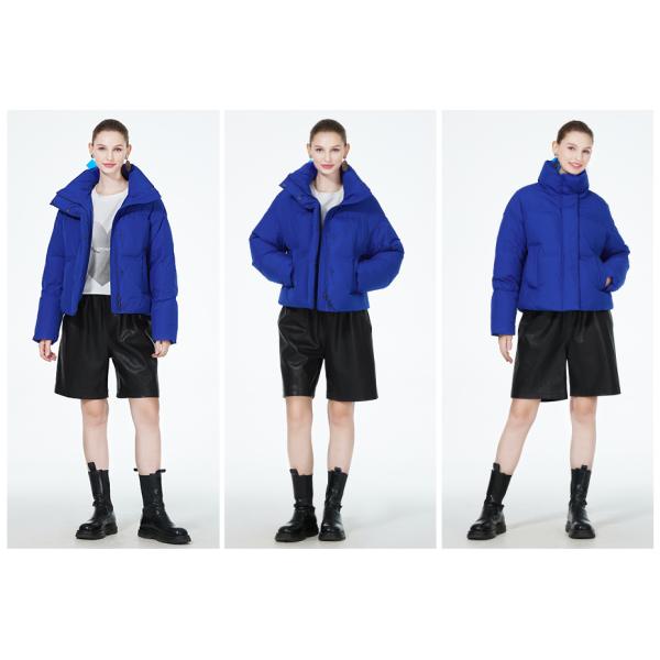 Short 58cm-64cm Womens Padded Coat Blue Light Green Black