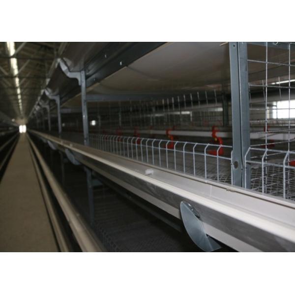 Reliable Safety Cage Holding Poultry Chicken Breeding Cages Save Space