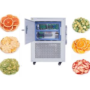 Breast Milk Home Mini Freeze Dryer 10kg/Batch PLC Control