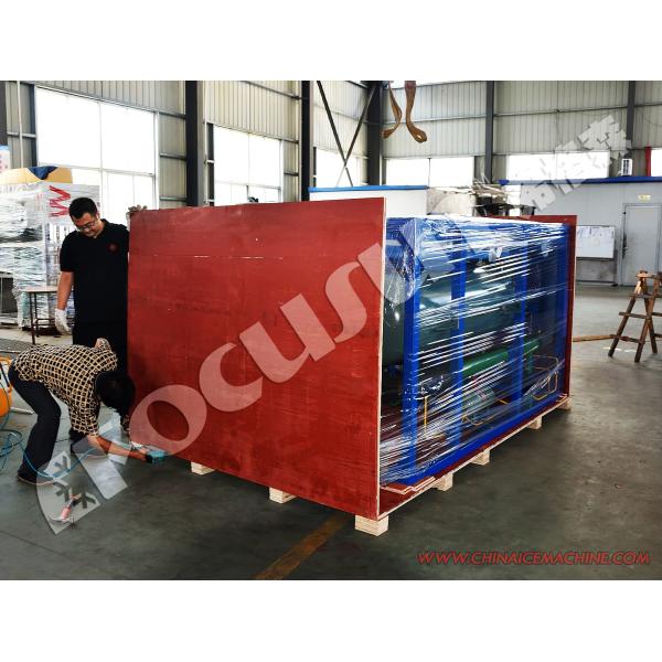 Automatic Pouch Packaging Ice Tube Cube Machine for Ice 30000kg Ice Storage Capacity