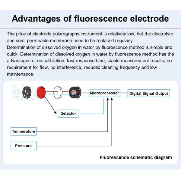 RS485 Optical Water Dissolved Oxygen Sensor