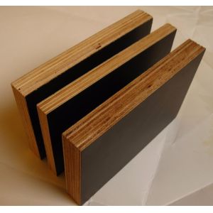 Buy cheap WBP Melamine Eucalyptus Construction Timber Film Faced Plywood from wholesalers