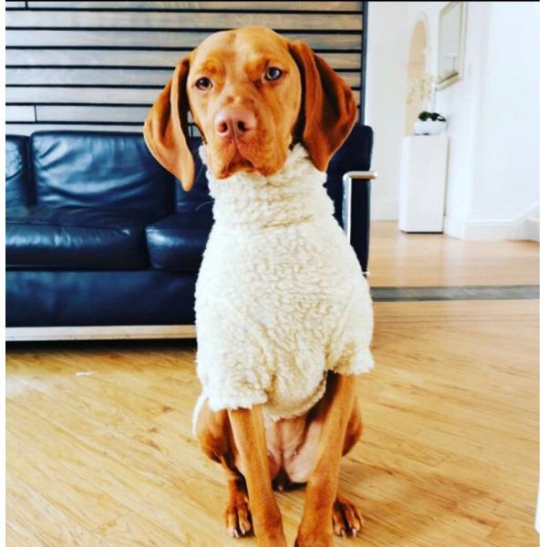 Soft Durable Faux Sherpa Fleece Dog Coats With Legs OEM ODM