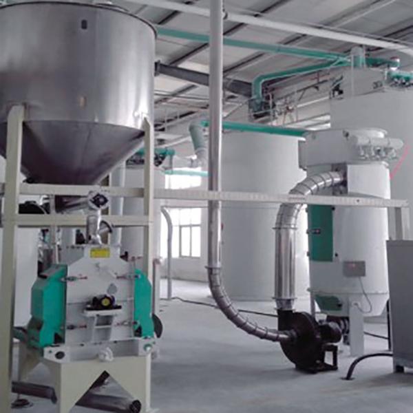 Commercial Stick Noodles Production Line 43t/24h Fresh Noodle Equipment