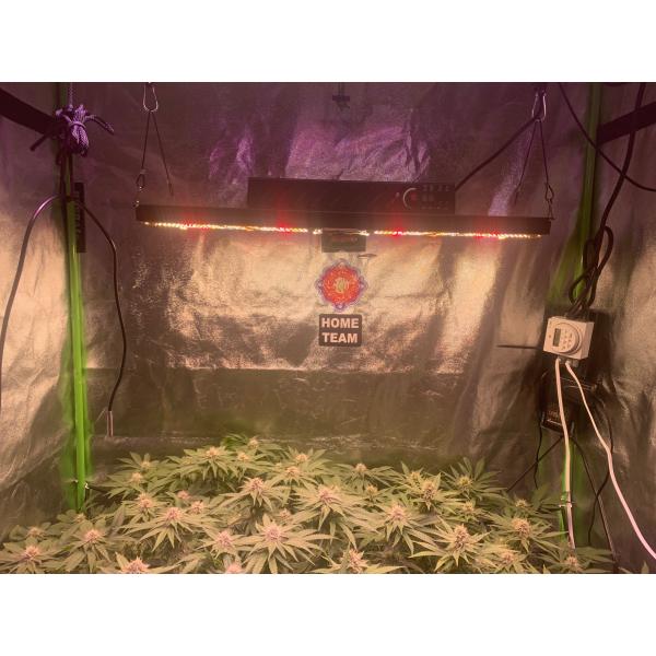 Sunlike Full Spectrum Greenhouse Grow Lamps Quantum Board LM301H 240W V4