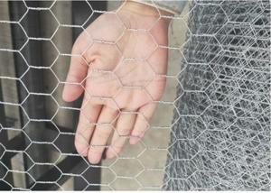 China 3/4 Inch 19mm Galvanised Hexagonal Wire Netting on sale