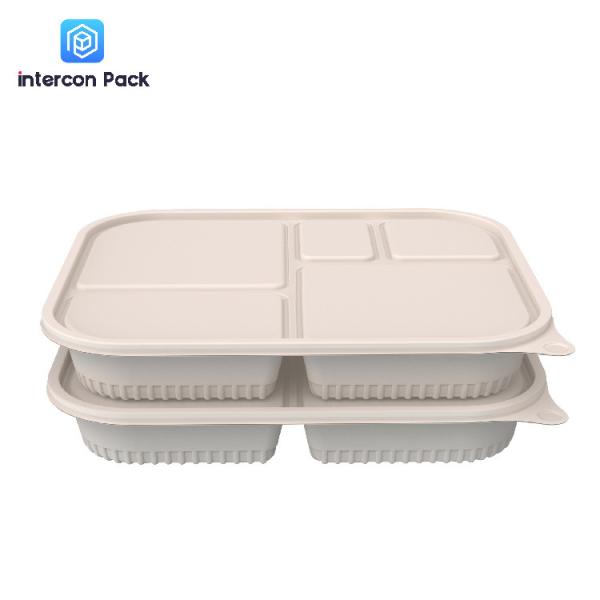 5 Compartment Bagasse Takeaway Boxes Disposable Food Container