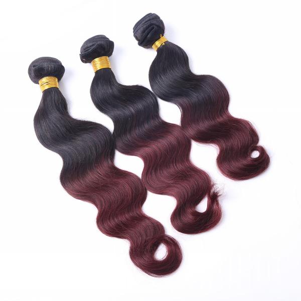 Machine double brazilian hair weft two tone ombre colored hair weave bundles