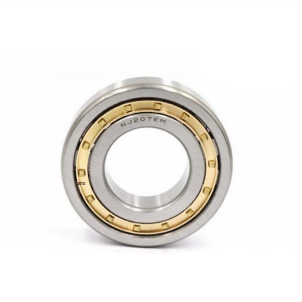 Hot Selling Factory Price Cylindrical Roller Bearing N315 NJ315 NU315 Roller Bearing