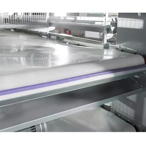 Steel Chicken House Equipment Easy Install With Automatic Feeding System