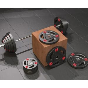 Cast Iron 5kg Weights Plates 11 LB Olympic Weightlifting Plates