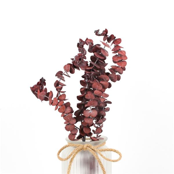 Artificial Dried Eucalyptus Plant , Preserved Silver Dollar Eucalyptus