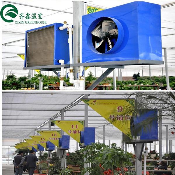 Customized Multi-span Vegetable Grow Tunnel Greenhouse for Vegetable Cultivation