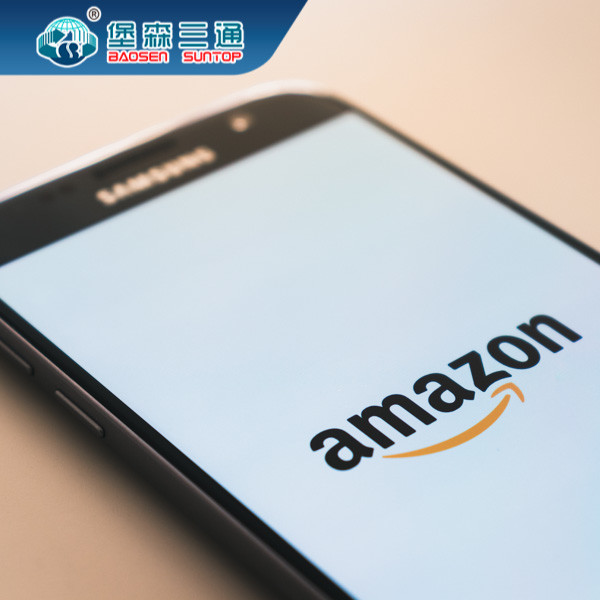 Door To Door Global Logistics Service , China Custom Clearance Sea Freight Agent