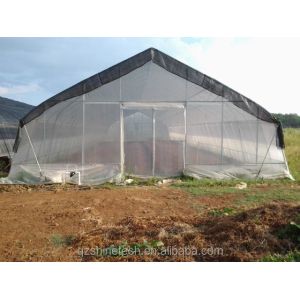 Cucumber Farming Small Agricultural Tunnel Greenhouse with Galvanized Steel