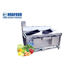 China 20kg/Time Vegetable Washing Machine Industrial Vegetable Bubble Washing Machine on sale