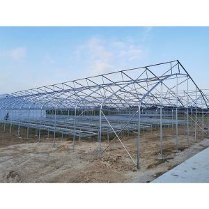 China Customized Galvanized Steel Frame Greenhouse For Flowers And Berries on sale