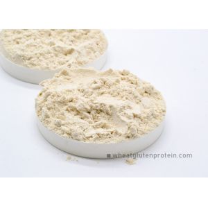 HACCP HALAL Natural Wheat Gluten Powder Slightly Yellowish