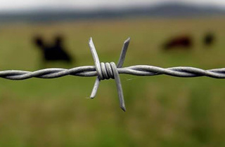 Double Twist Core Galvanized Military Barbed Wire For Security Fencing And Barriers