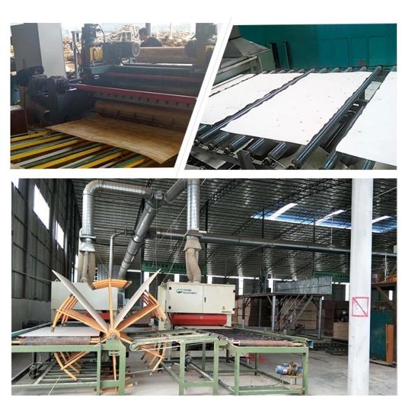 Waterproof Architectural Grade Plywood , 25mm Hardwood Plywood E1 Standards