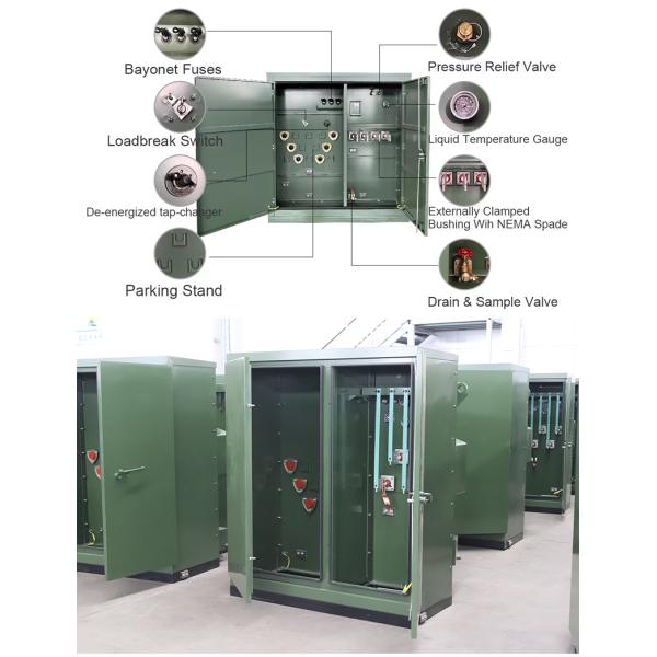 HENTG Pad-Mounted Transformer exterior view