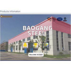 Jiangsu Baogang Stainless Steel Co., Ltd.