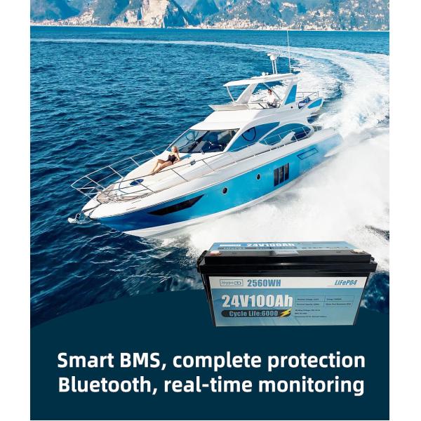 24 Volt 100Ah 200Ah 300Ah Marine Lithium Battery LiFePO4 Lithium Ion Battery Pack