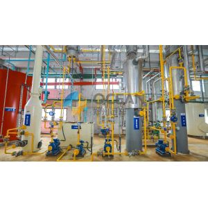 Quality Low Temperature Cold Pressing Equipment Peanut Oil Seeds Processing for sale