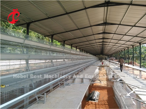 Automatic Poultry Battery Cage System Coated Wire With Long Lifespan Nigeria Sandy