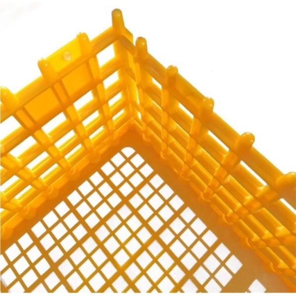 Poultry Broiler Quail Pigeon Plastic Chicken Transport Cages