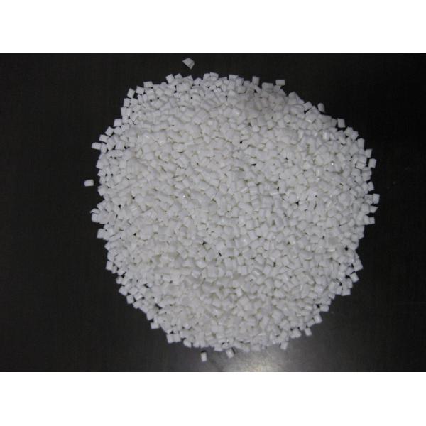 Spun Bonded Non Woven Fabric