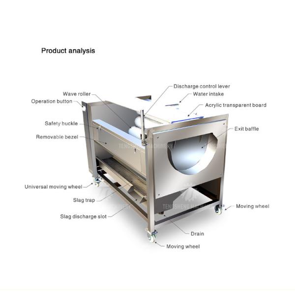 Root Veg 1.5KW Commercial Potato Washer , Kiwifruit Lotus Root Potato Peeler Machine