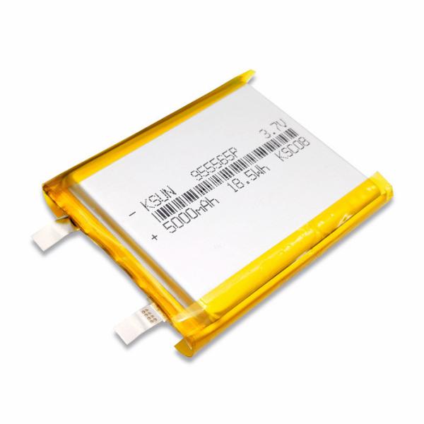 PL955565 5000mAh 3.7V Lithium Ion Polymer Cell