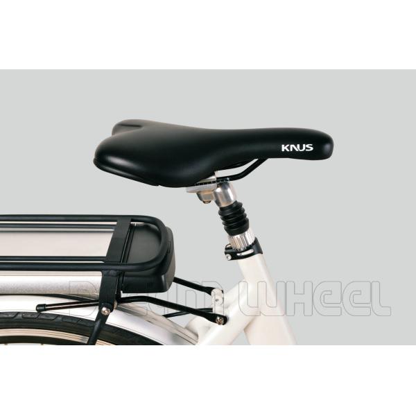 25km/H Mid Motor Electric Bike , Mid Drive Motor E Bike 36V 7.8Ah Battery