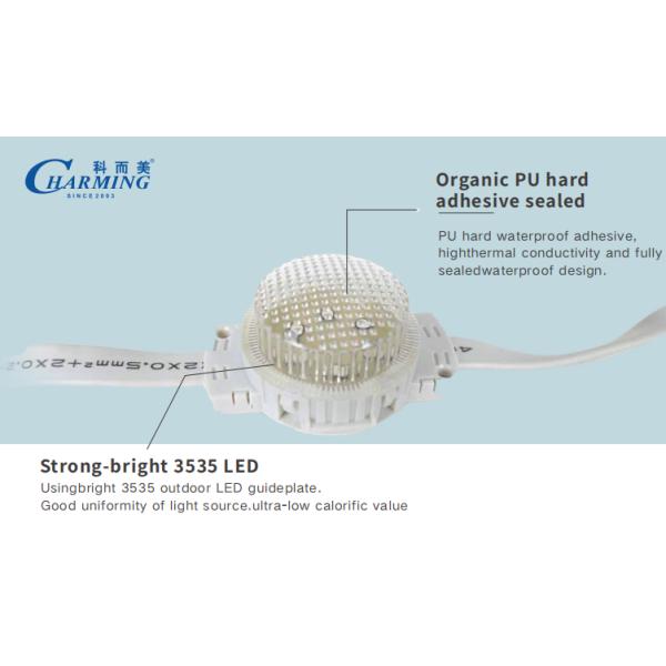 Charming LED SMD3535 DMX Glue-filled Waterproof Led Pixel Light With Remote Control Function