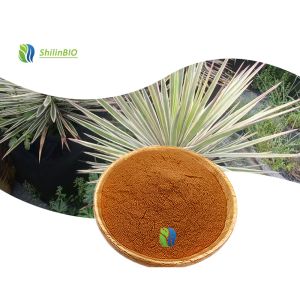 Yucca Root Extract Yucca Saponin