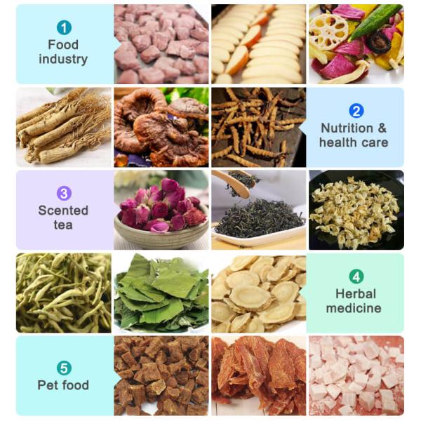 tabletop freeze dryer application