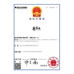 Dongguan Yuelinsen Metal Technology Co., Ltd. Certifications