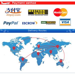 Quality General Goods Economic Express Shipping Service From China To Algeria for sale