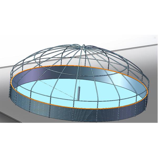 Galvanized Steel Pipe Circular RAS Fish Tank 10 Meter Fresh Water Automatic Feeding