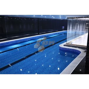 Competition Precast Inground Swimming Pools Big Swimming Pool Prefabricated