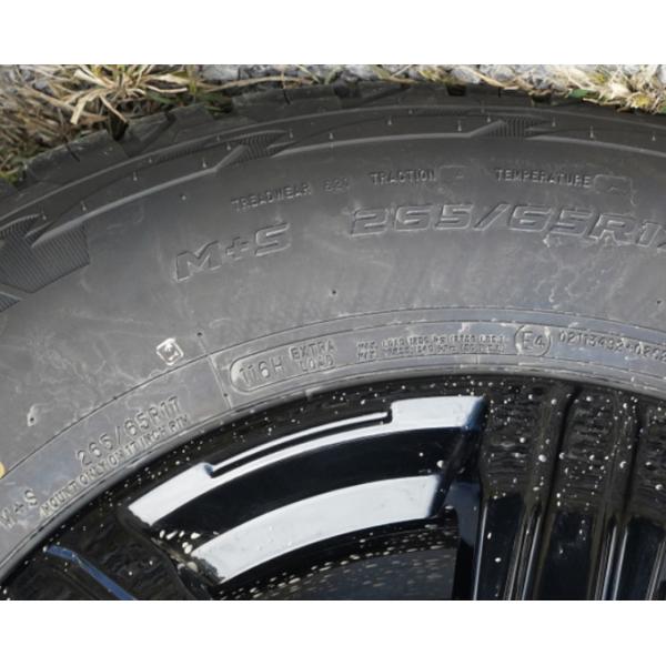 Tank 300 2023 2.0T 227HP L4 Challenger Version Compact SUV 5 Door 5 Seats 5