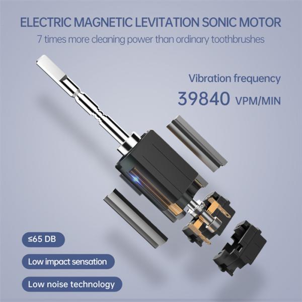 Wholesale Factory Sonic Electric Toothbrush SN903 Smart Toothbrushes for Adult