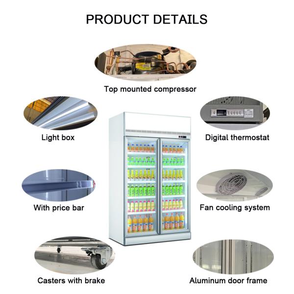 Professional Display Chiller Double Door Display Refrigerator Freezer