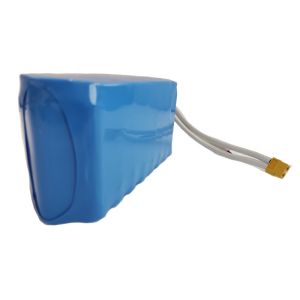 Quality 18650 8800mAh 24V Lithium Ion Battery Pack 1C Discharge for sale